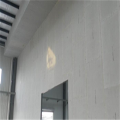 玛沁宁波ALC板|EPS加气板隔墙与混凝土整浇联接的实验研讨